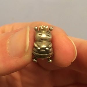 Pandora charm